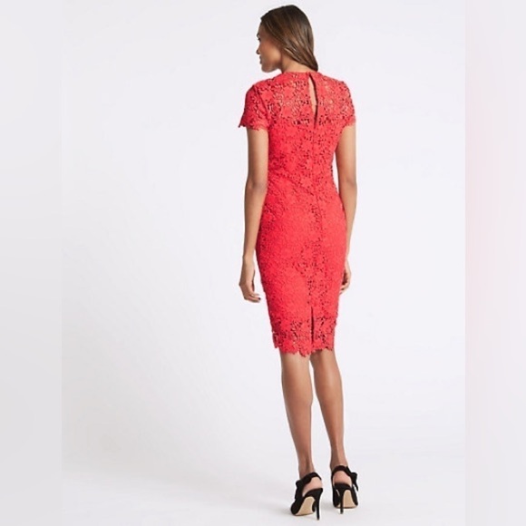 M&S Collection • Lace Sheath Short Sleeve Bodycon Midi Dress - Picture 3 of 16
